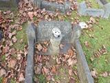 image of grave number 227596